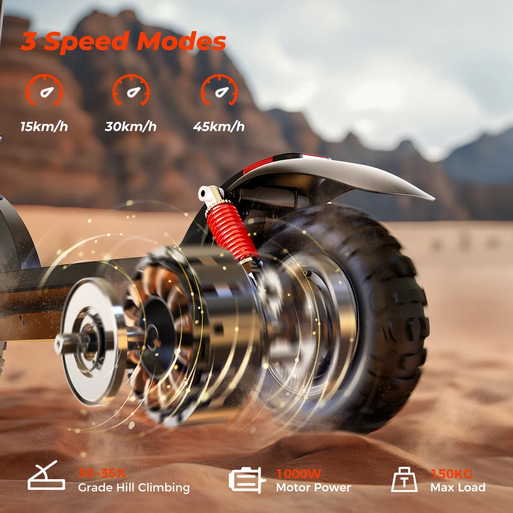 iScooter 1000W Electric Scooter 45km/h