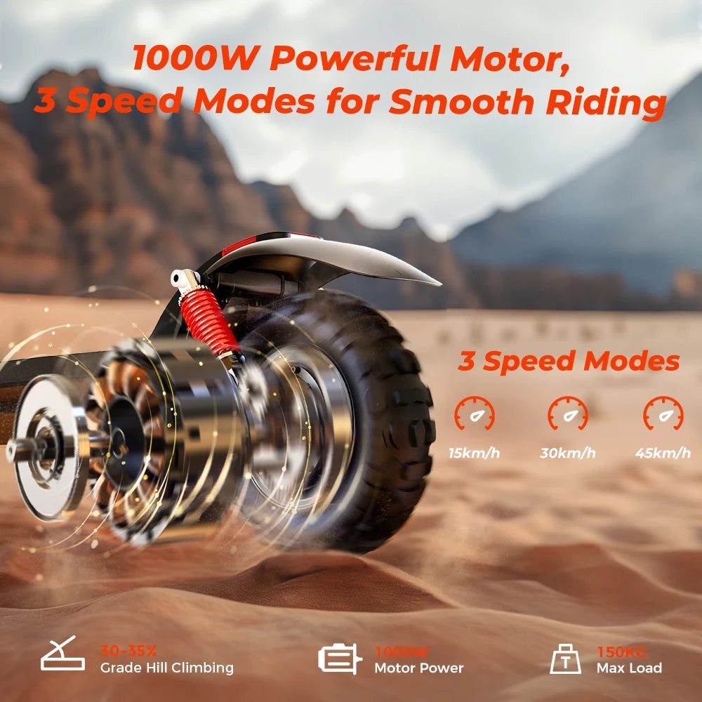 iScooter 1000W Electric Scooter 45km/h